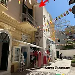 Magi - Pergola * Ponza